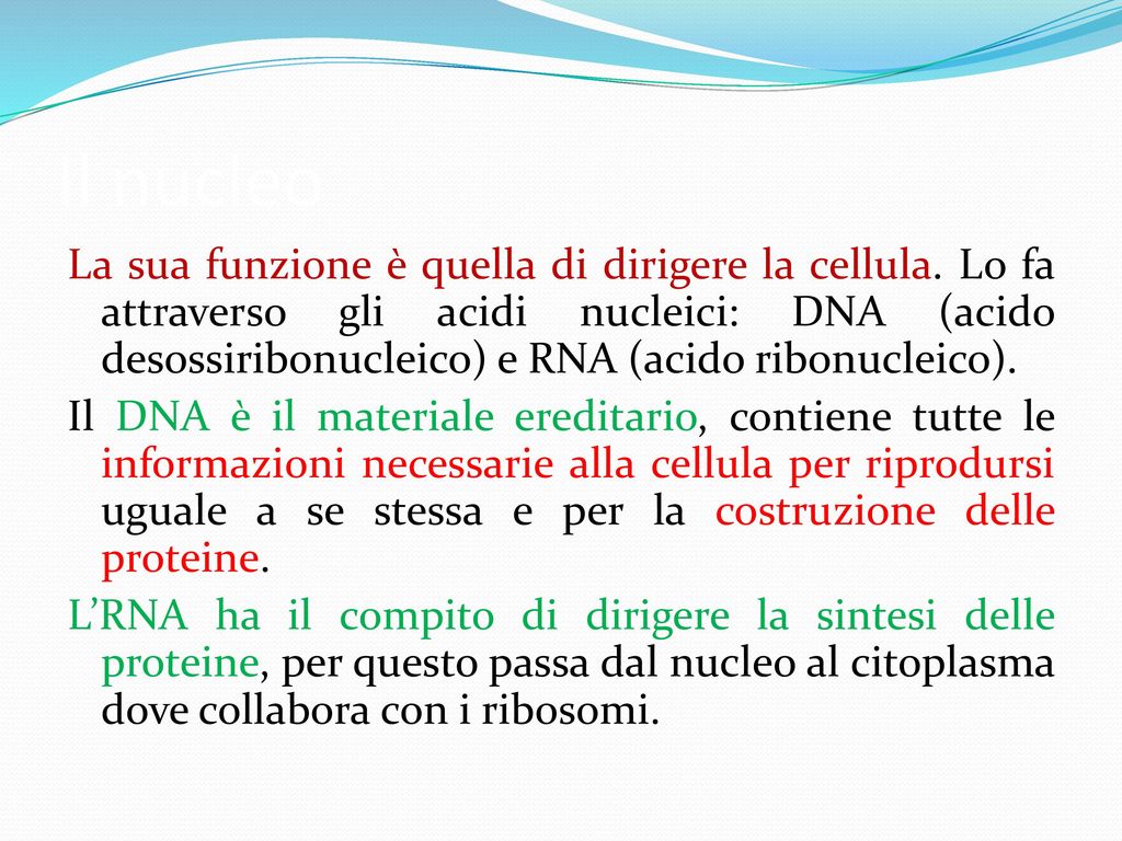 La Cellula Ppt Scaricare